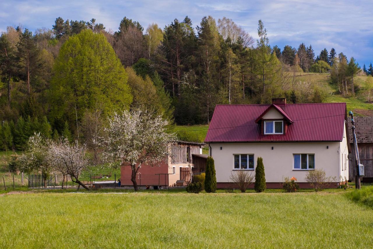 U Jadzi Pogórze Przemyskie Bircza Exterior foto